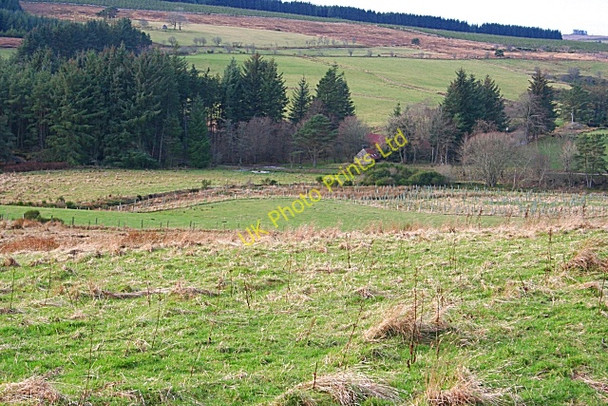 Photo 6"x4" Burn of Aultmore Glen of Newmill c2007