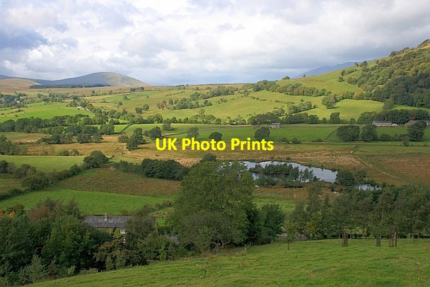 Photo 6"x4" Tarn Below Foxhill Farm Matterdale End c2011