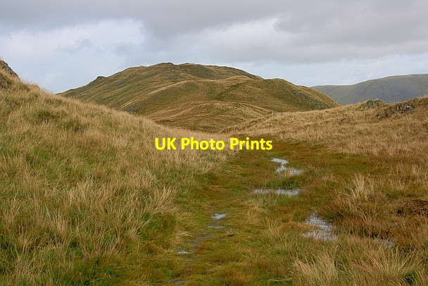 Photo 6"x4" Path, Martindale Common Rooking c2011