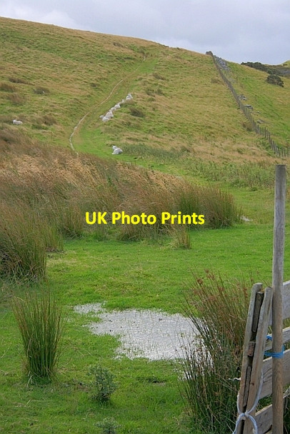 Photo 6"x4" Track up from The Hause Longthwaite\/NY4322 c2011