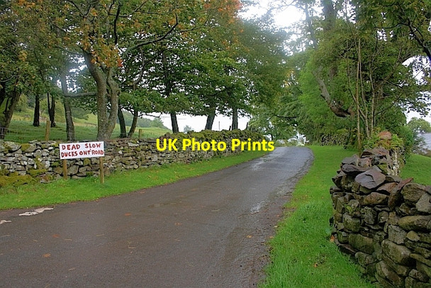 Photo 6"x4" Track to Tongue Longthwaite\/NY4322 c2011