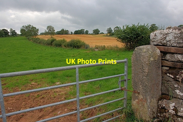 Photo 6"x4" Fields, Baron's Hill Newbiggin\/NY4729 c2011