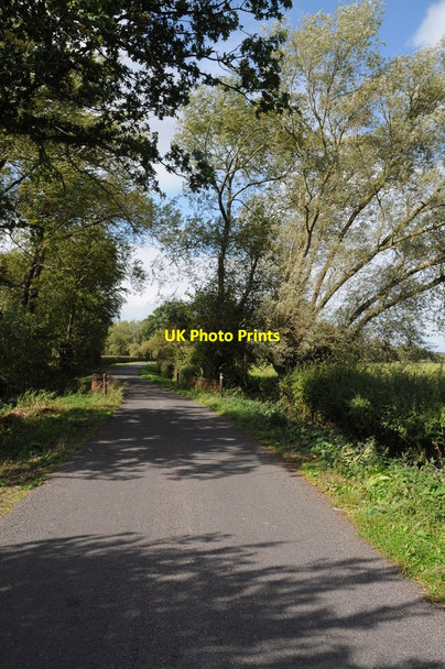 Photo 6"x4" Road to Chaceley Stock Chaceley c2011