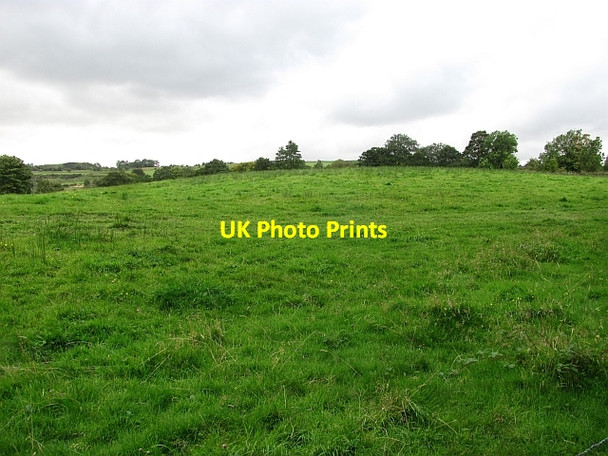 Photo 6"x4" Field, Burnhouse Denny c2011