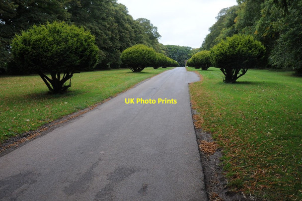 Photo 6"x4" Entrance to Tyntesfield Tyntesfield c2011
