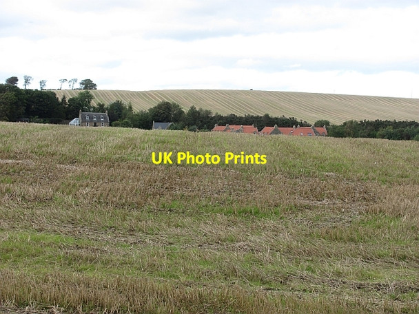 Photo 6"x4" Stubble, Cauldhame Linlithgow c2011