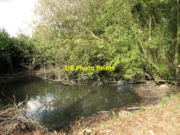Photo 6"x4" Small pond by Rookery Farm, Chippenhall Green Chippenhall Green c2011