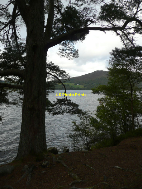 Photo 6"x4" The southern shore of Loch Rannoch Kinloch Rannoch c2011