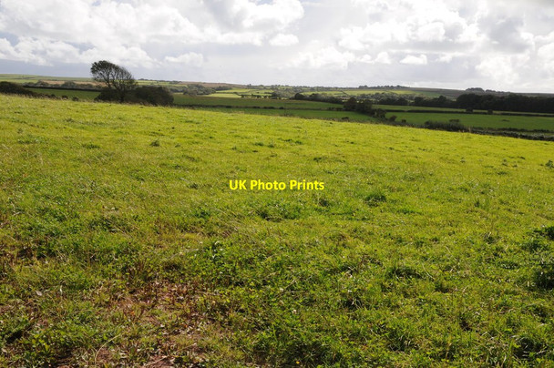 Photo 6"x4" Farmland near Lamphey Lamphey c2011