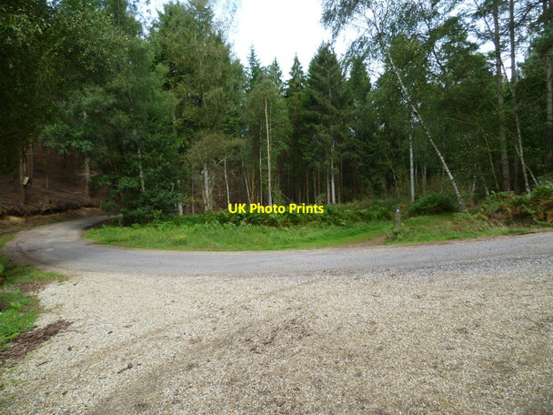 Photo 6"x4" Bridleway crosses track by Dewdney's Well in Winterfold Wood Peaslake c2011