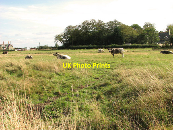 Photo 6"x4" North Runcton Common North Runcton c2011
