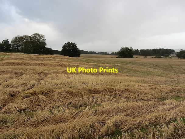 Photo 6"x4" Harvested field above Linlithgow Linlithgow c2011