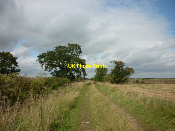 Photo 6"x4" A path leading to Park Lane Meaux c2011 P1
