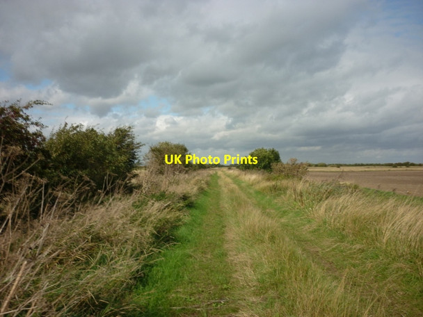 Photo 6"x4" A path leading to Park Lane Meaux c2011 P2