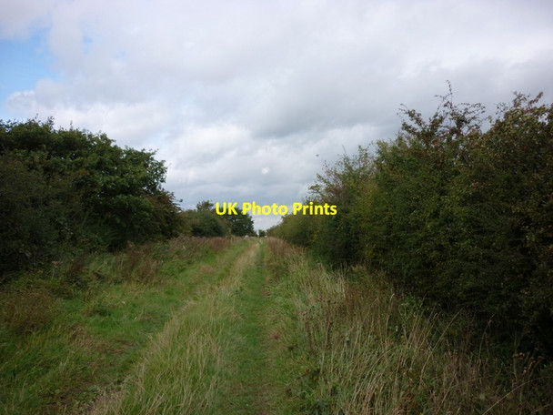 Photo 6"x4" Park Lane towards Tickton Weel c2011