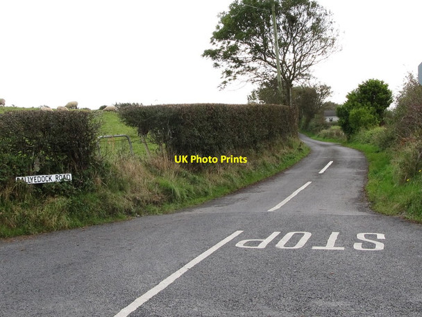 Photo 6"x4" View south along the Ballyedock Road from the Tollumgrange Crossroads Bishops Court\/J5642 c2011