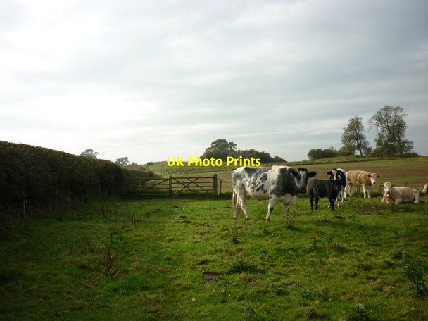 Photo 6"x4" A path leading to Hardy Bank Oulston c2011