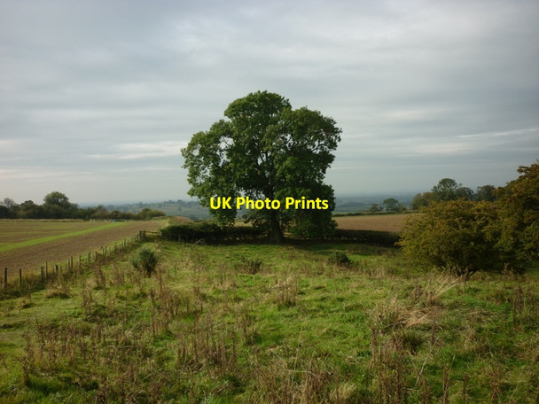 Photo 6"x4" A path leading to Hardy Bank Oulston c2011 P1