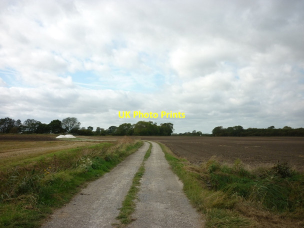 Photo 6"x4" A farm track towards Weel Road Beverley c2011