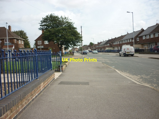 Photo 6"x4" Bilsdale Grove at Troutsdale Grove Marfleet c2011