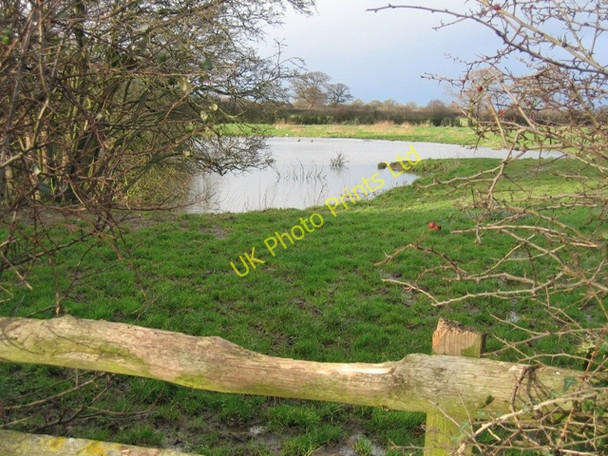 Photo 6"x4" Pond near Hatton Hall Hatton Heath c2007