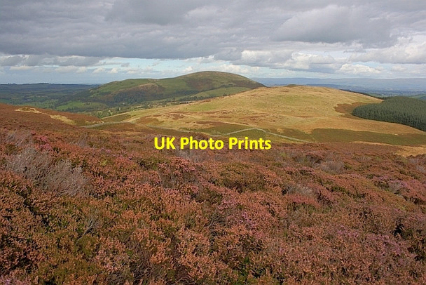 Photo 6"x4" Gowbarrow Park Dockray\/NY3921 c2011