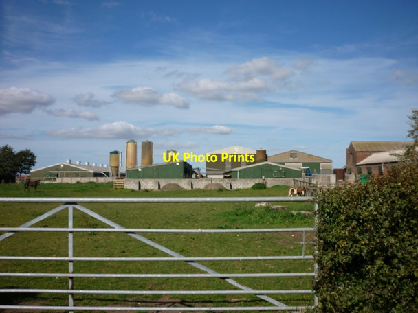 Photo 6"x4" Woodhouse Farm on Woodhouse Lane Arnold\/TA1241 c2011