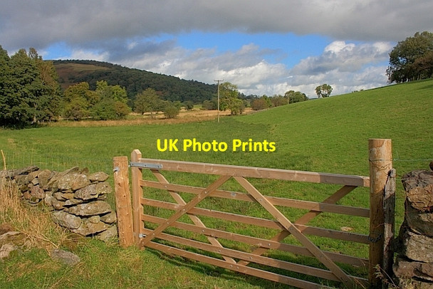 Photo 6"x4" Gate into Field Matterdale End c2011