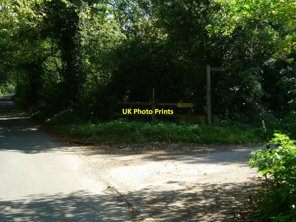 Photo 6"x4" Footpath off Woodhill Lane Lordshill Common c2011
