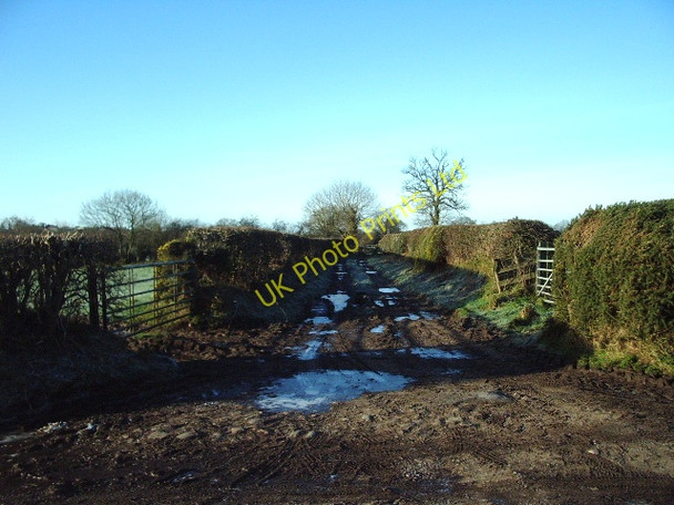 Photo 6"x4" Muddy track Longburgh c2007