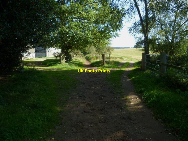 Photo 6"x4" Bridleway along the ridge north of Woodhill Lane Norley Common c2011