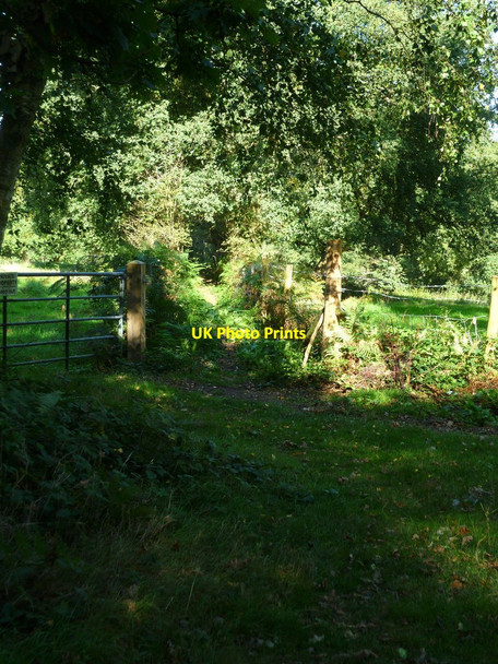 Photo 6"x4" Almost invisible footpath Norley Common c2011
