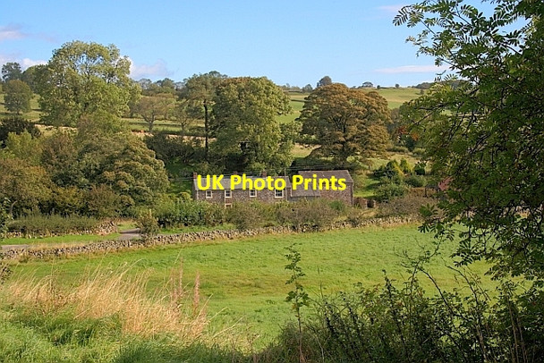 Photo 6"x4" Hutch Head Hutton\/NY4326 c2011