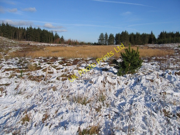 Photo 6"x4" Lake in the Clwyd Forest Loggerheads\/SJ1862 c2007