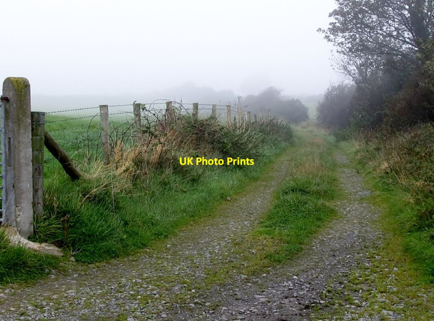 Photo 6"x4" Field access lane off the Corbally Road Downpatrick c2011
