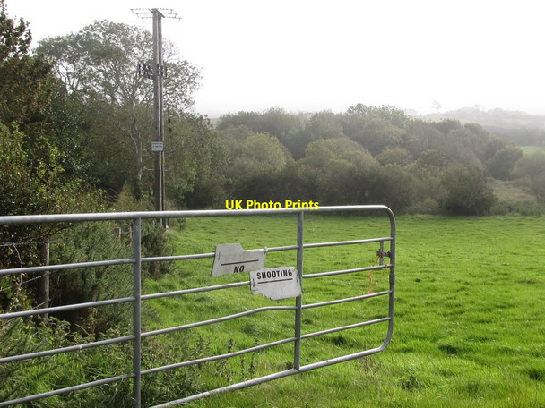 Photo 6"x4" Woodland in the Townland of Ballyrolly Clough\/J4040 c2011