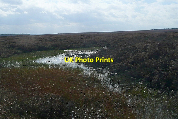 Photo 6"x4" On Egton High Moor Key Green\/NZ8004 c2011 P1