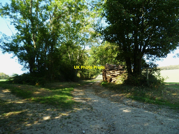 Photo 6"x4" Pile of logs at bridleway crossing Madehurst c2011