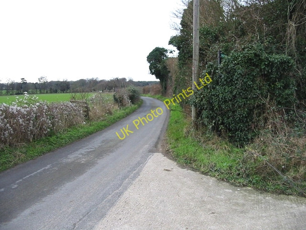 Photo 6"x4" Looking SW along Woodland Road. Adisham c2007