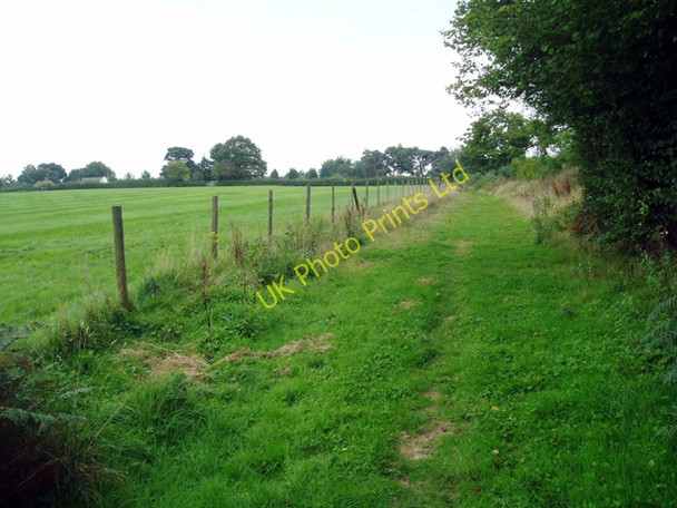 Photo 6"x4" New bridleway Cackle Street\/TQ4526 c2005