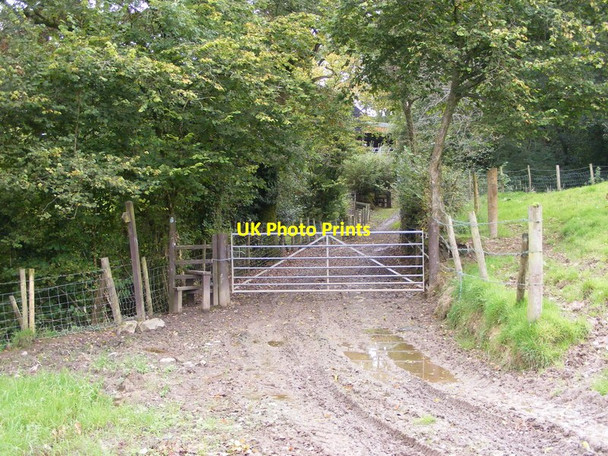 Photo 6"x4" Muddy Track Llangain c2011