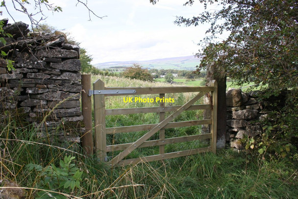 Photo 6"x4" Gateway on Witton Steeps at High Lane junction West Witton c2011