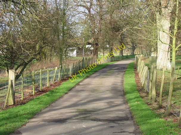 Photo 6"x4" Charlton Park, Bishopsbourne. Bishopsbourne c2007