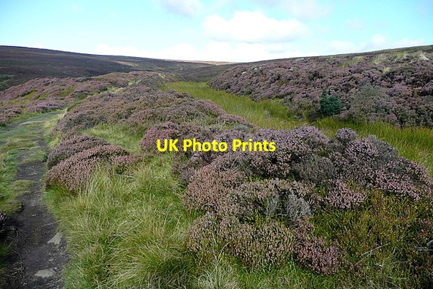 Photo 6"x4" Circuit of Rosedale Church Houses c2011