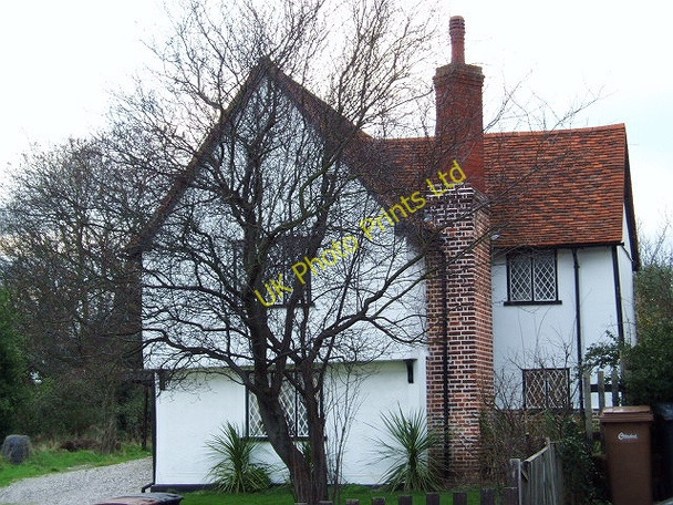 Photo 6"x4" Poplars - Penny Royal Rd - Danbury Horne Row c2007