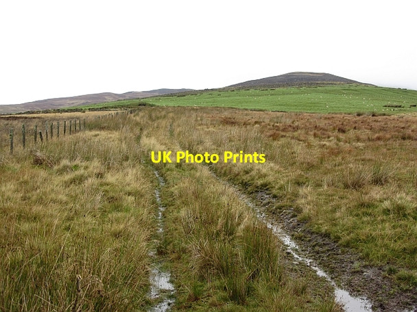 Photo 6"x4" Rough grazing, Glen Moy Moory c2011