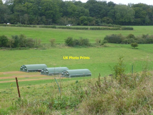 Photo 6"x4" Poultry sheds at Turrill Hill Farm Laverstoke c2011