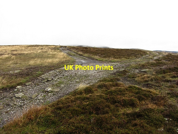 Photo 6"x4" Track on Craigthran Rottal c2011
