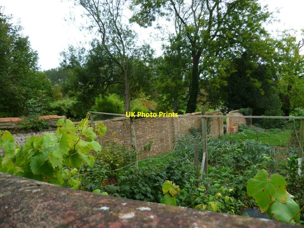 Photo 6"x4" Walled garden at Bere Mill Freefolk c2011