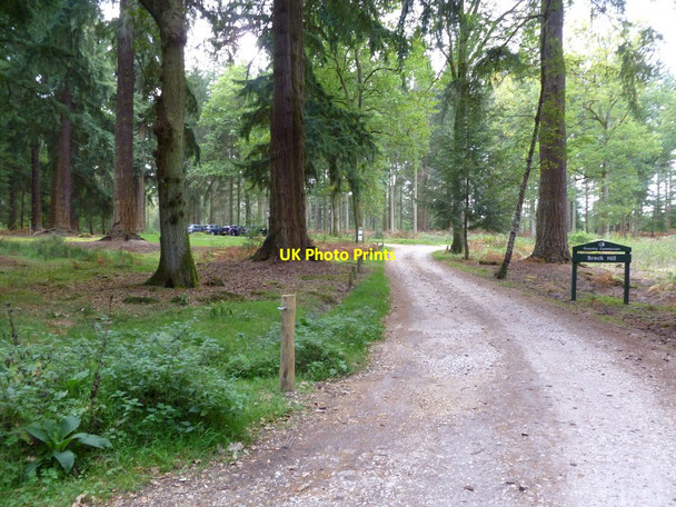 Photo 6"x4" Brock Hill Car Park Bank\/SU2807 c2011